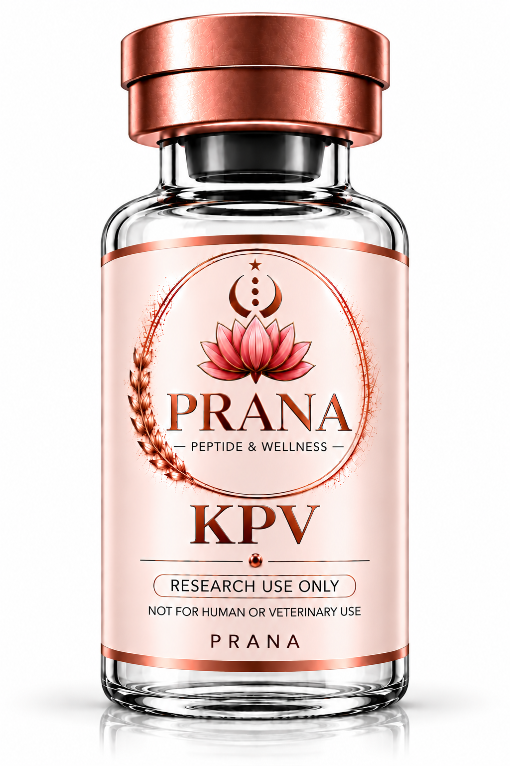 KPV 10 MG
