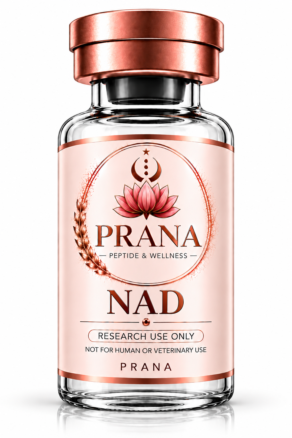 NAD+1000MG